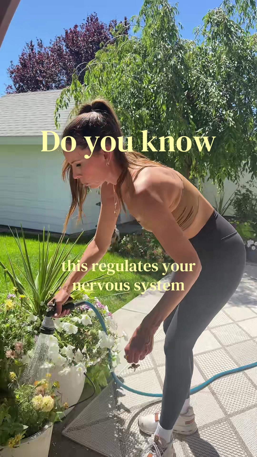 @Beauty by Kat | hormones + gut