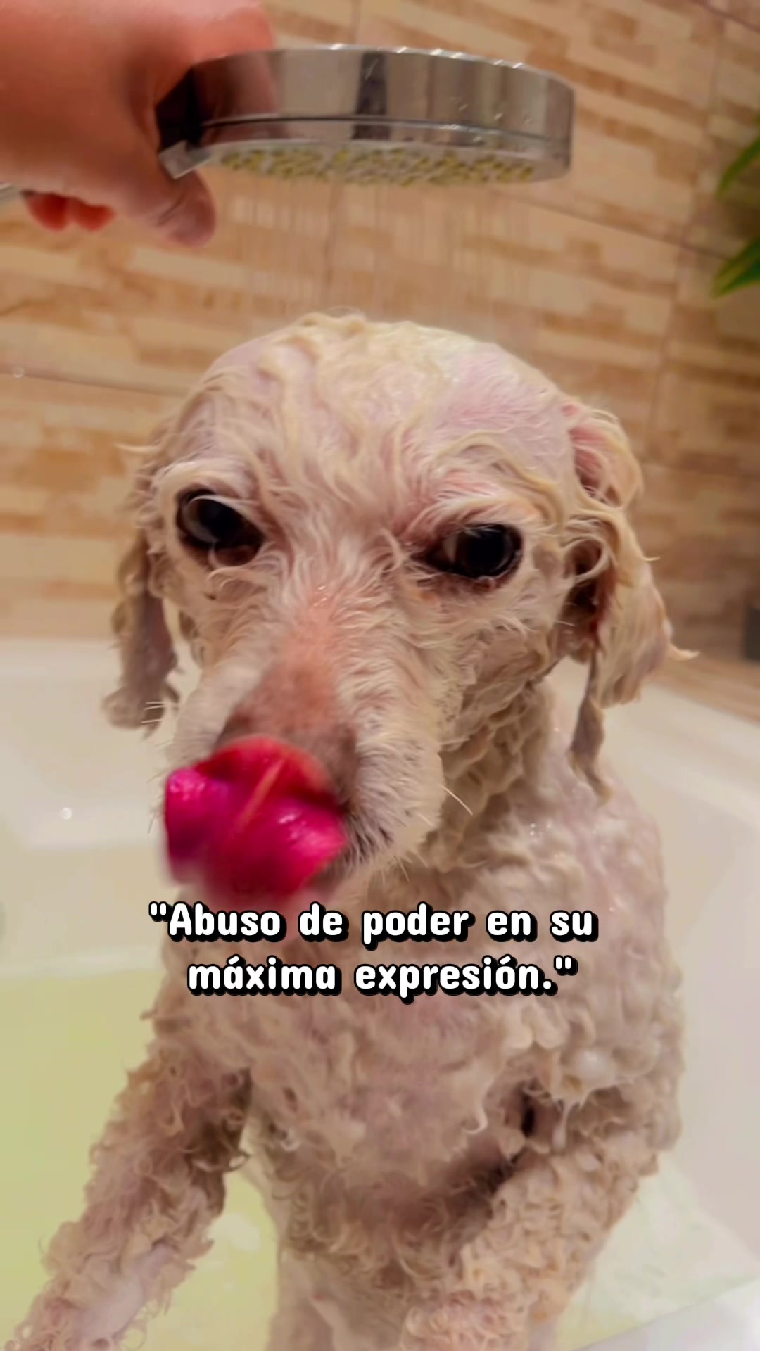 @Jassmiin Tamarax