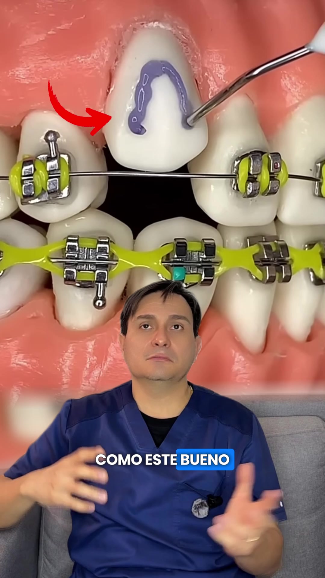 @odontologicals