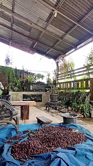 @Doni⚔️deba. fil🌠