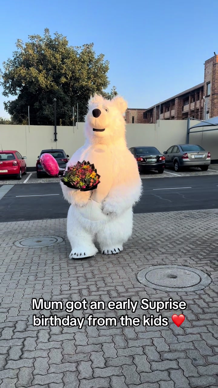 @dancingmascotssa
