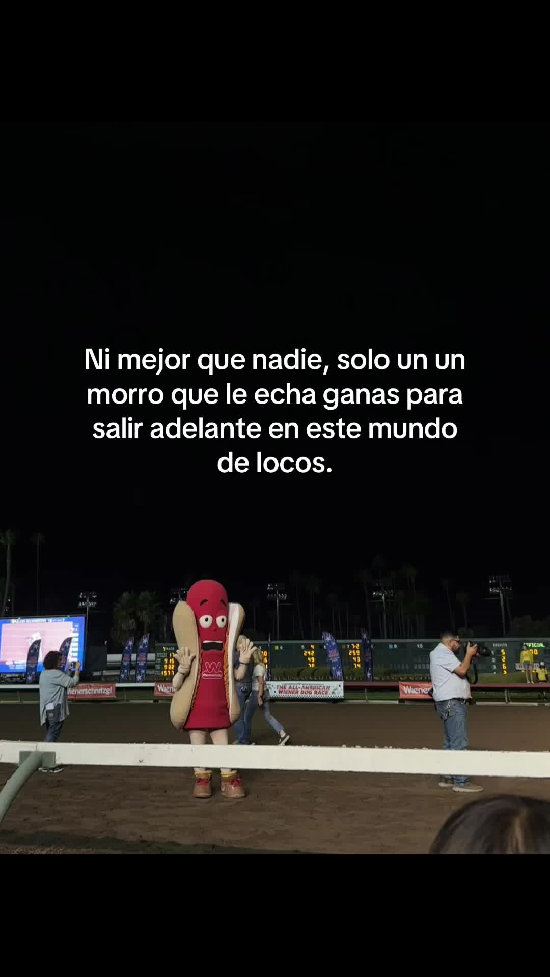 @oscar_sxt