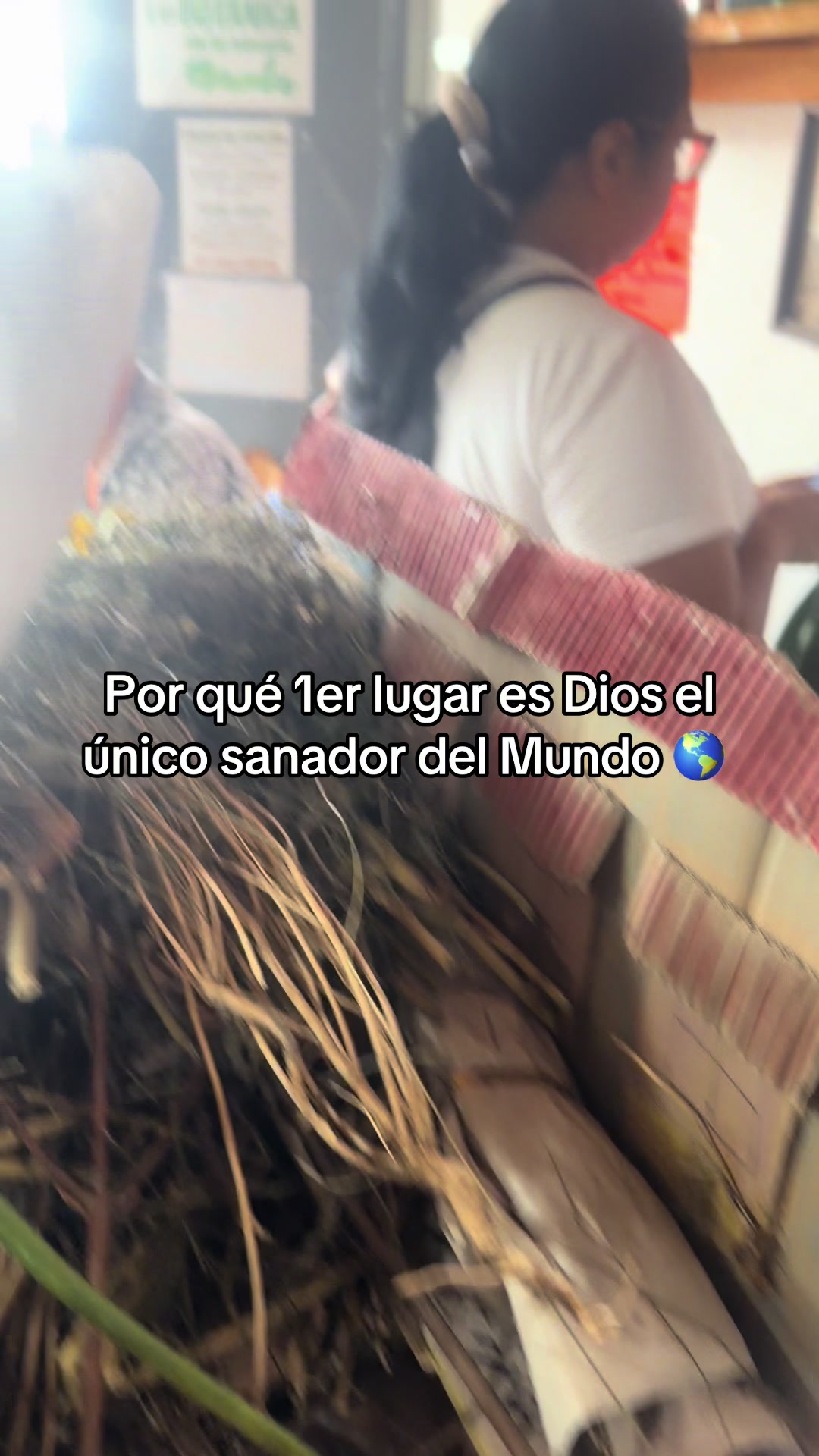 @vanessa plantas