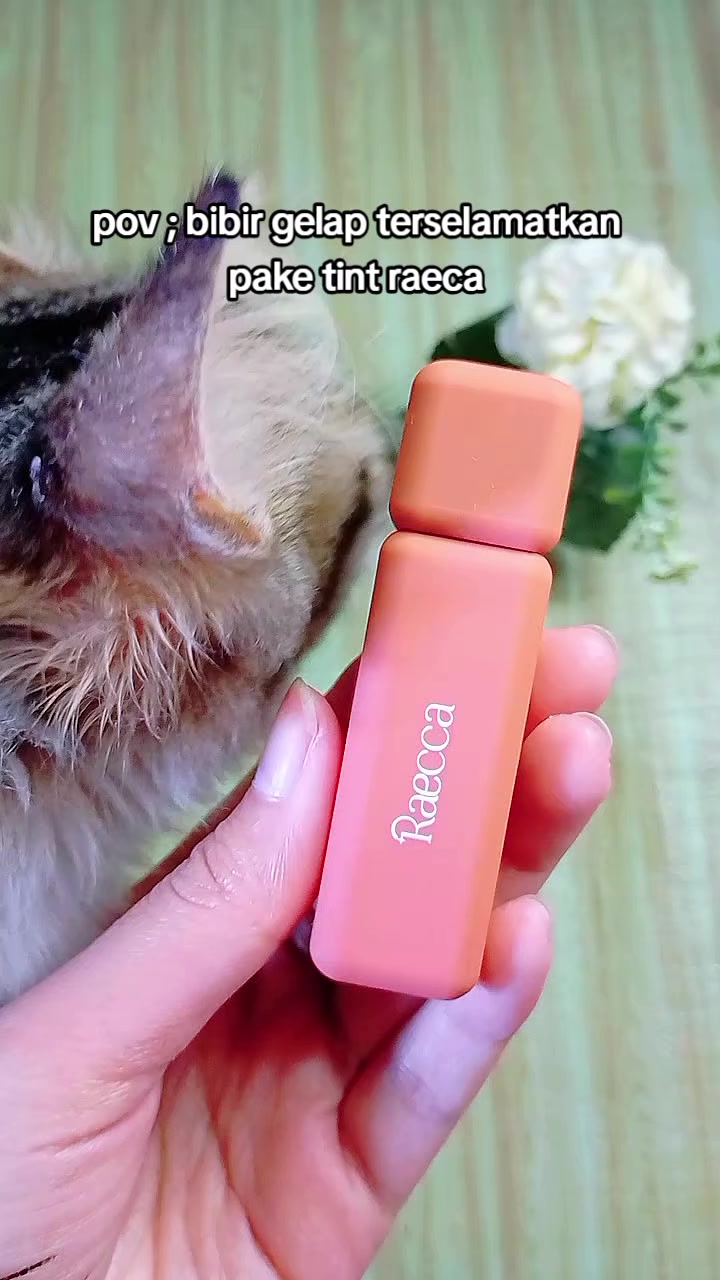 @𝐒  𝟏  𝐋
