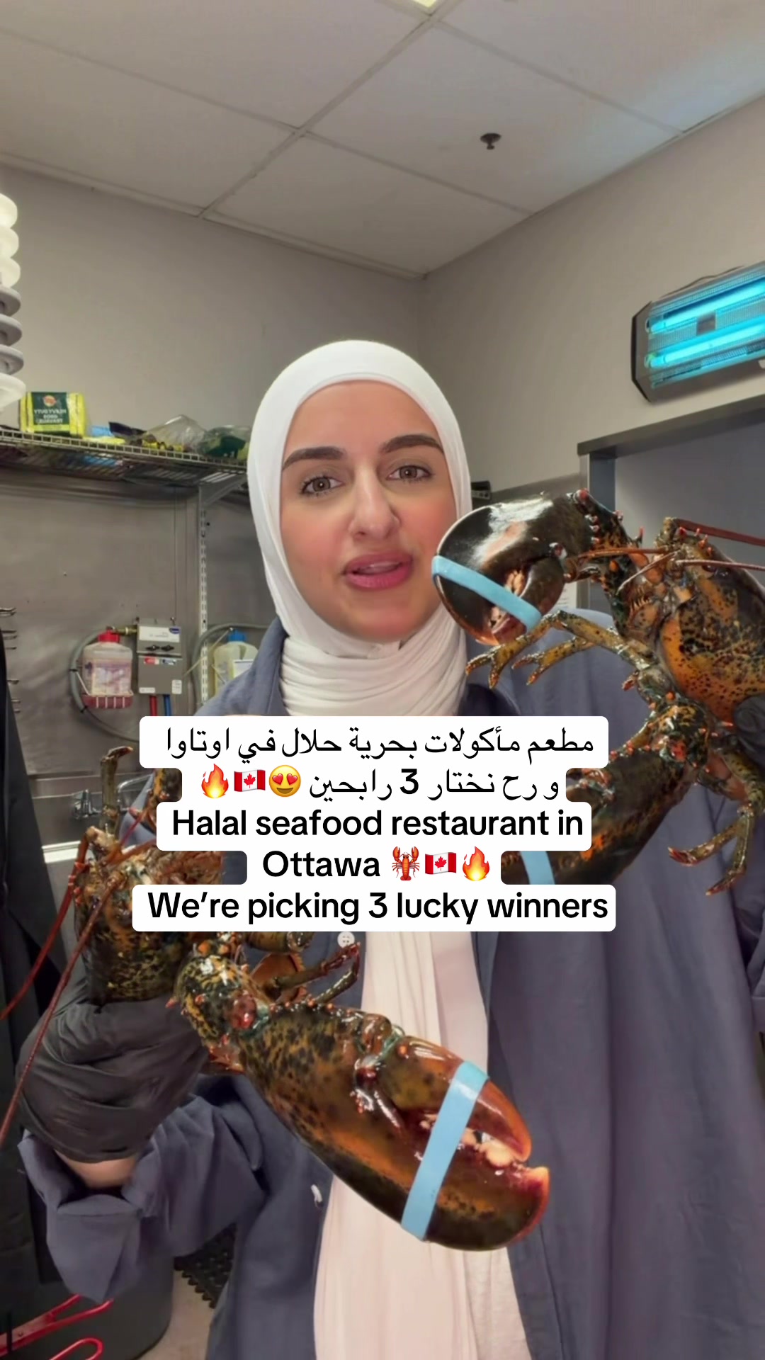 @Sondos | سُندُس 🇵🇸🇨🇦