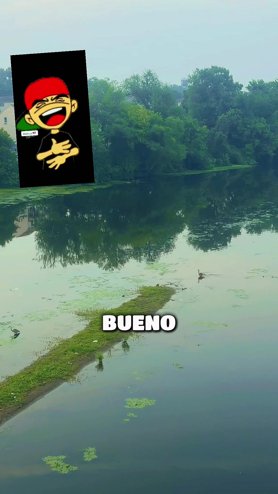 @Walter Valverde