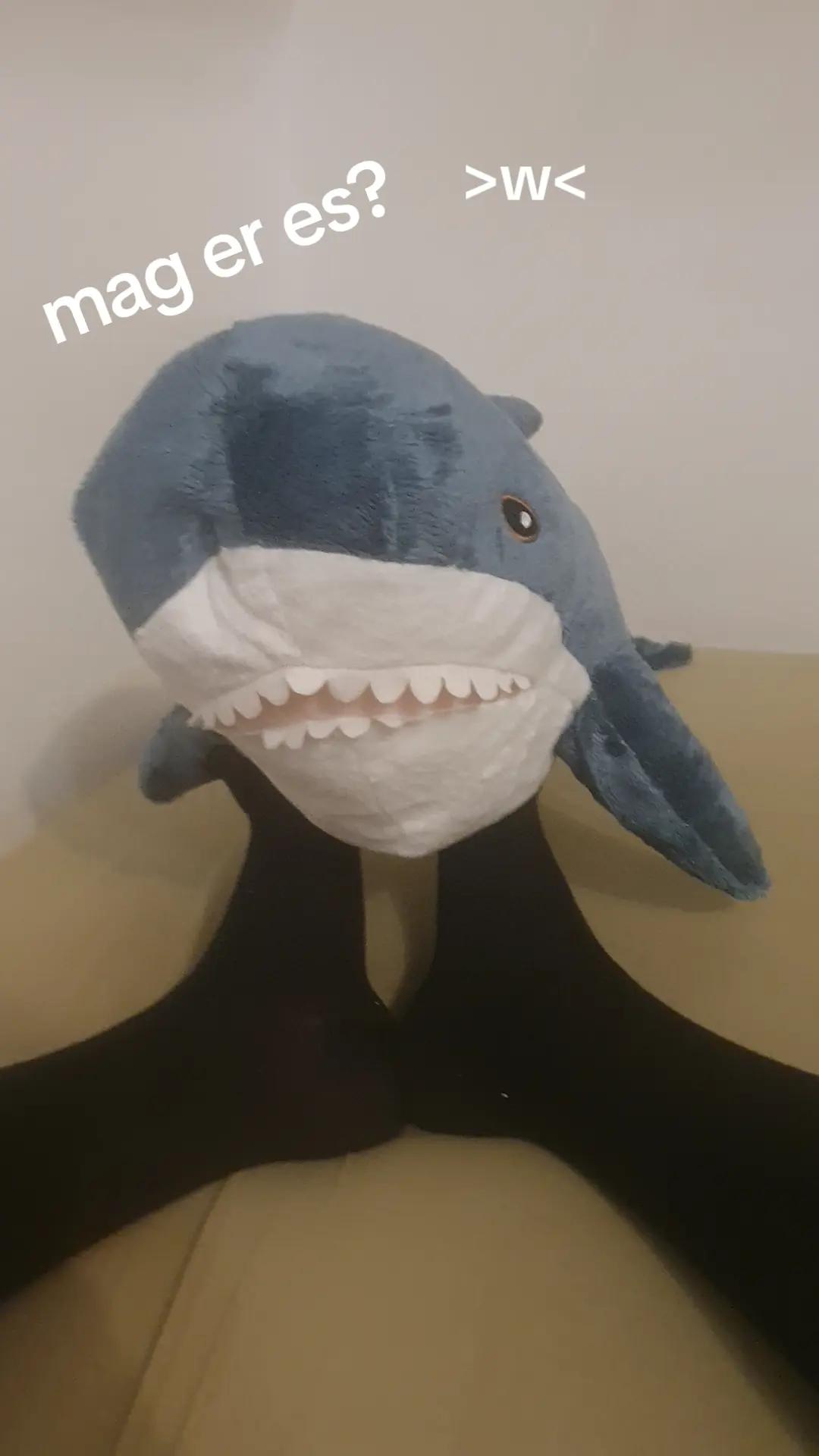 @famboy