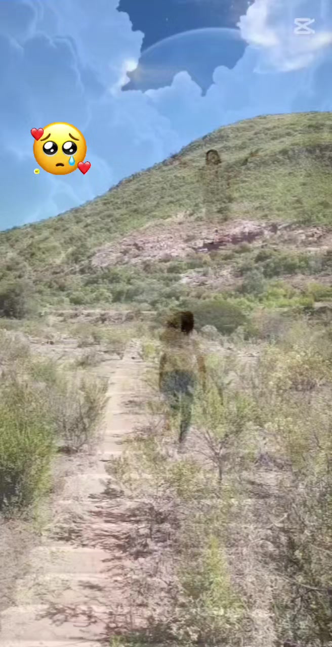 @Masiel Orias Padilla