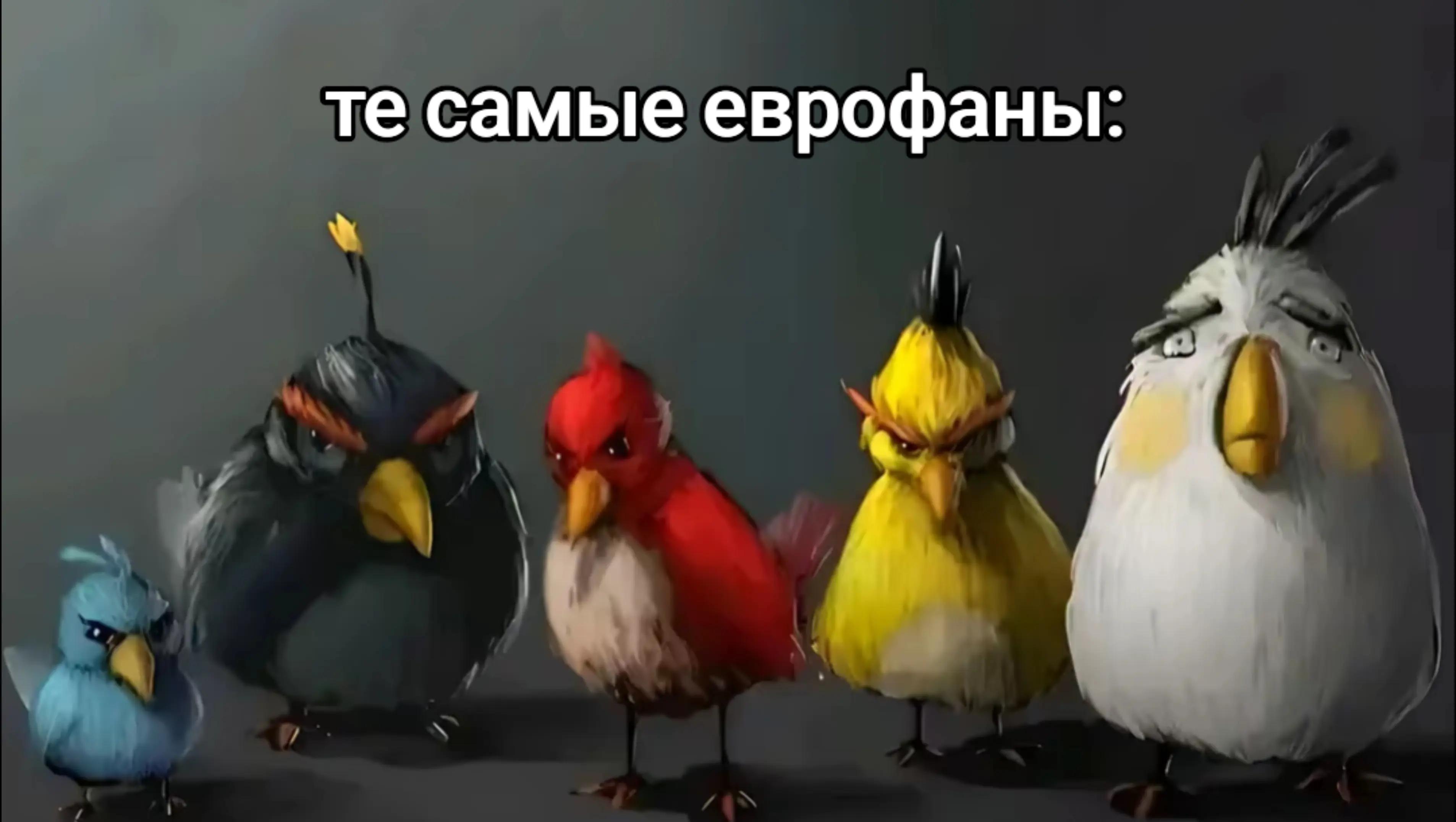 @Котяра в стране Евро-чудес