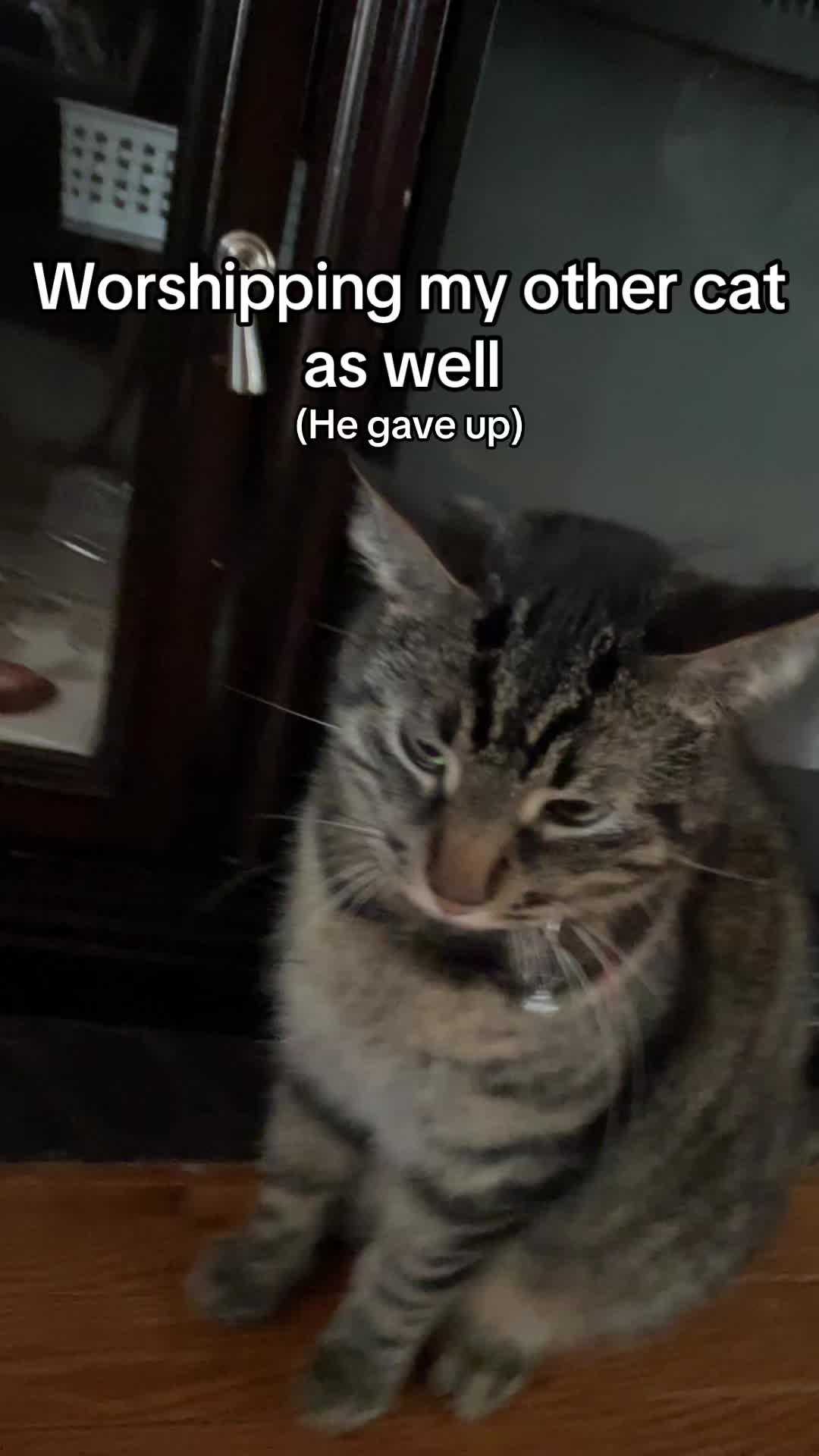 @.