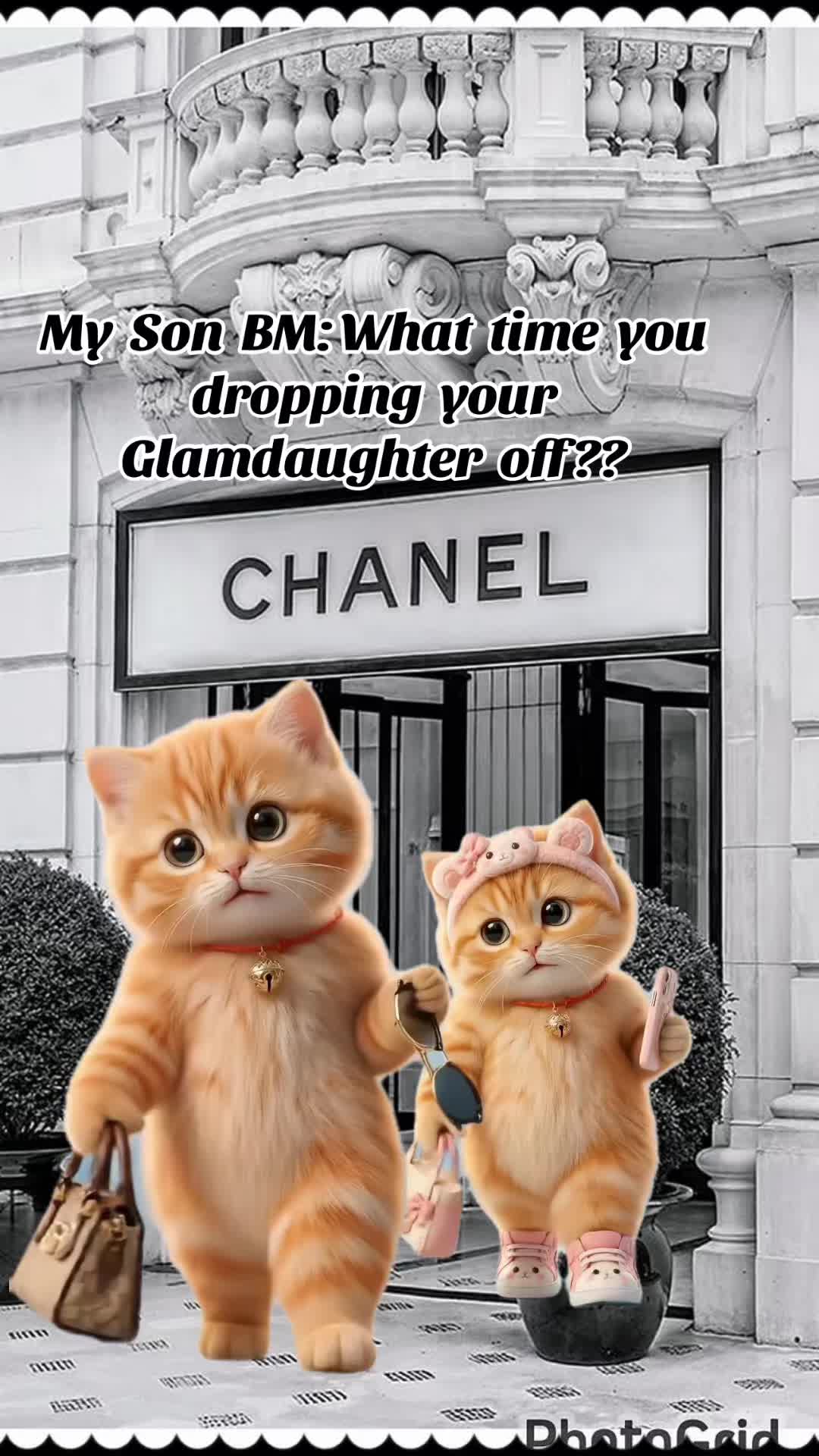 @ShaPOOH