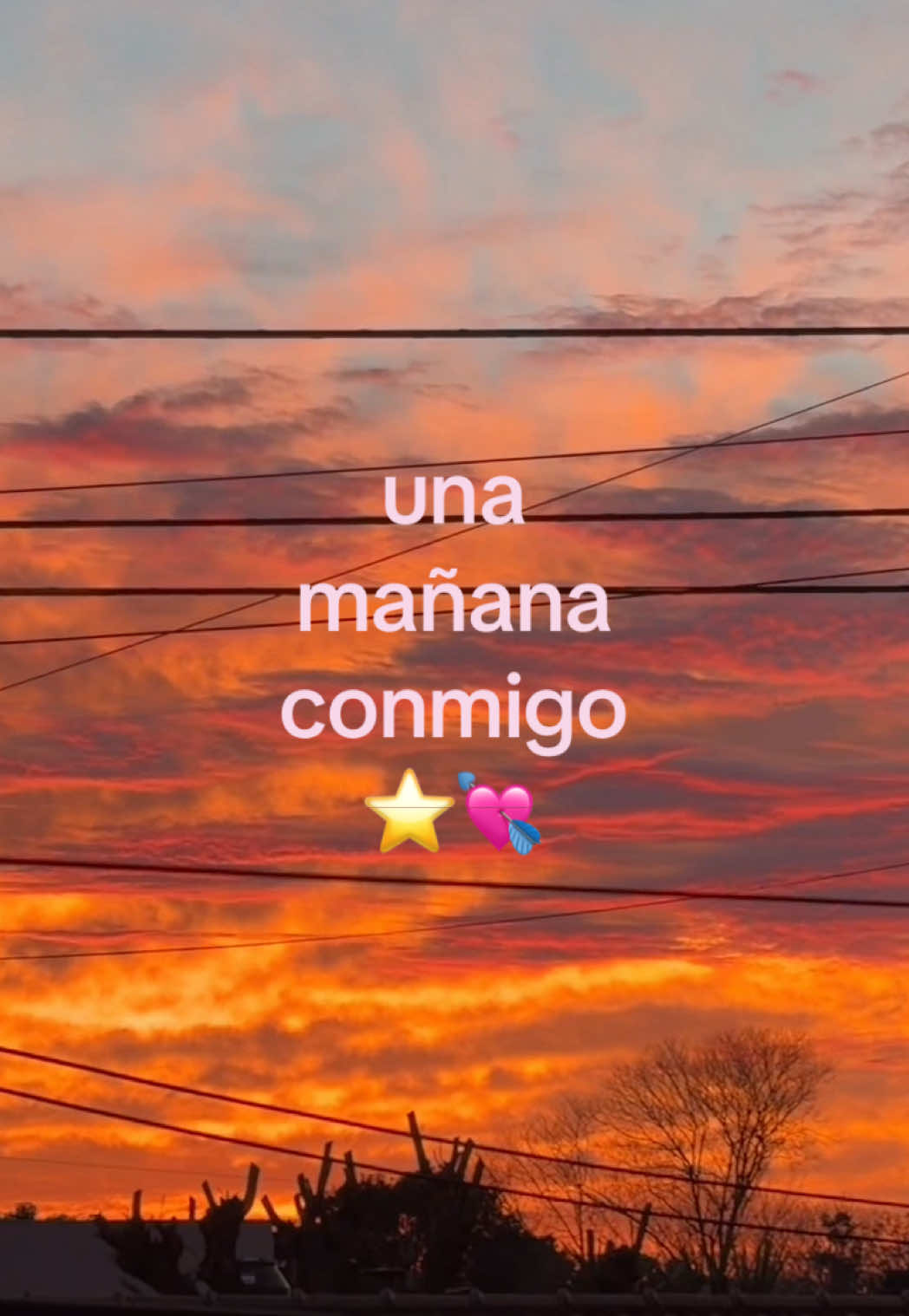 @cata_barbuto