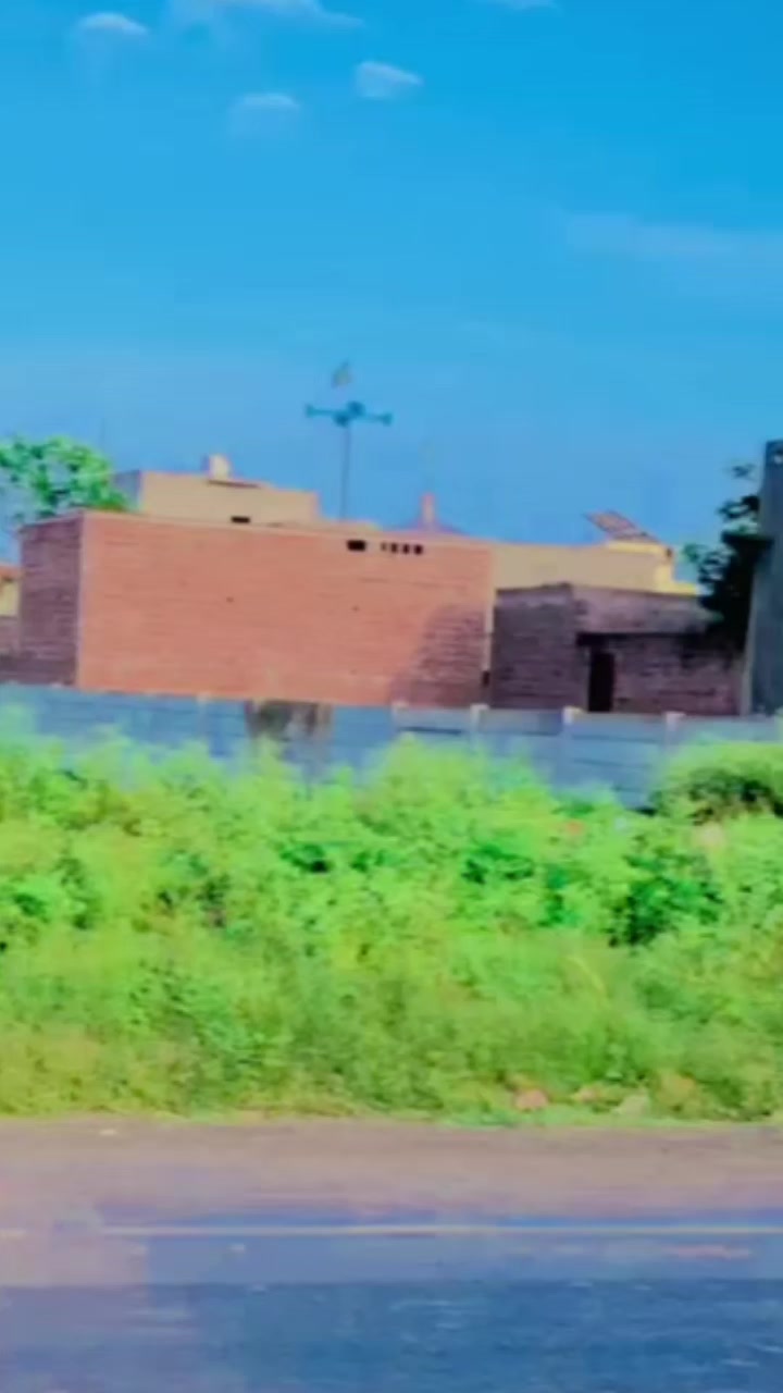 @🏴&zwj;☠️ بٹ بادشاہ 🏴&zwj;☠️