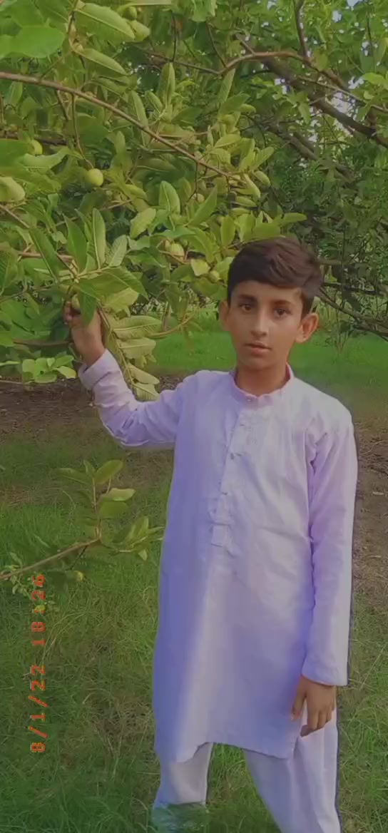 @Zarqa Khan