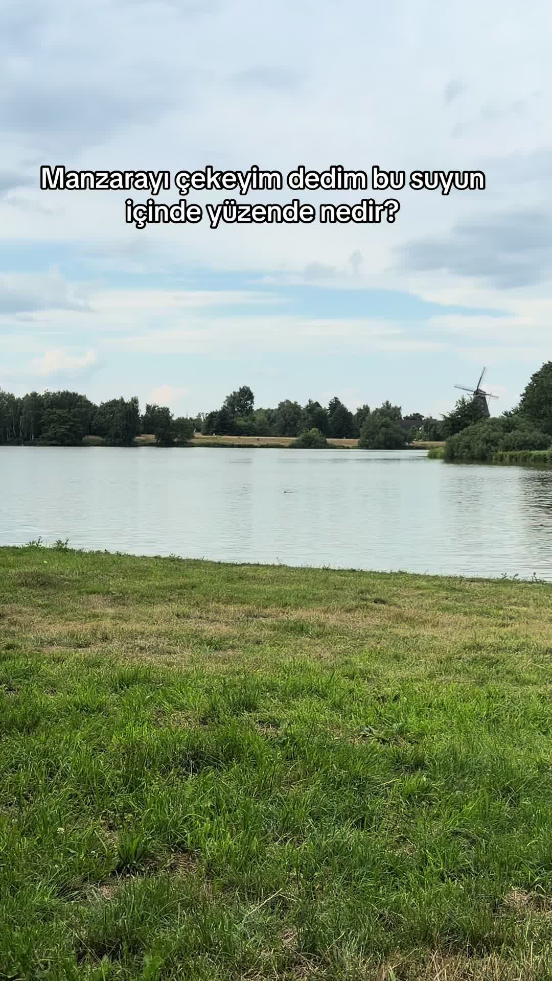 @𝓡𝓸𝓳𝓭𝓪☀️