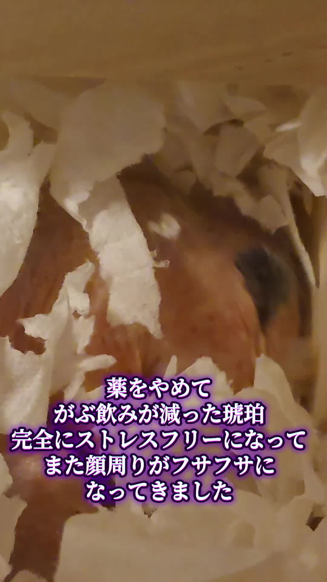 @ジン