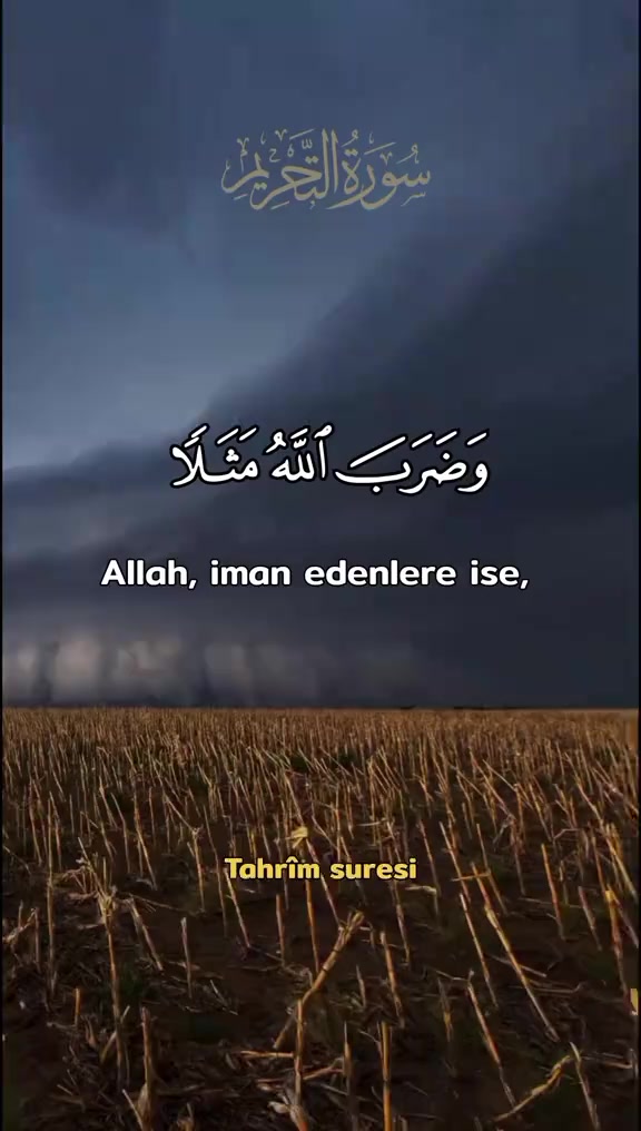 @_Hafizali61