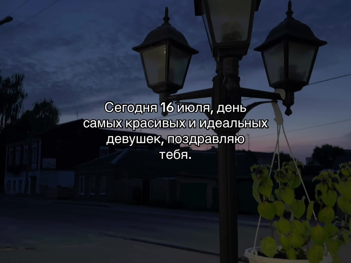 @ᴍᴜsɪᴄ ɪs ᴍʏ ʟɪꜰᴇ