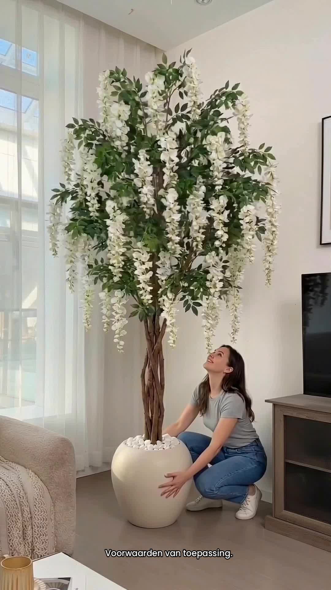 @anan06178