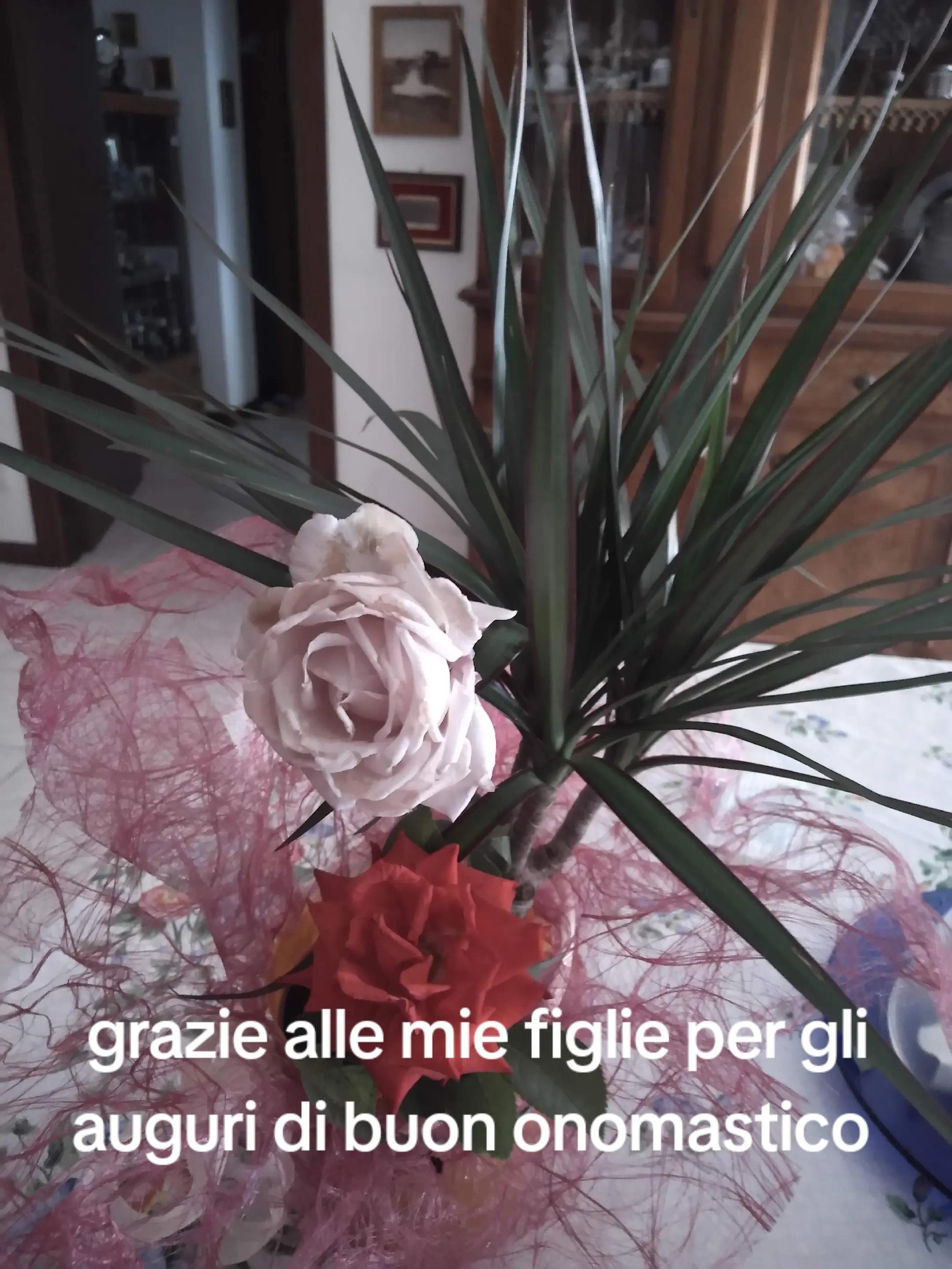 @regina di cuori