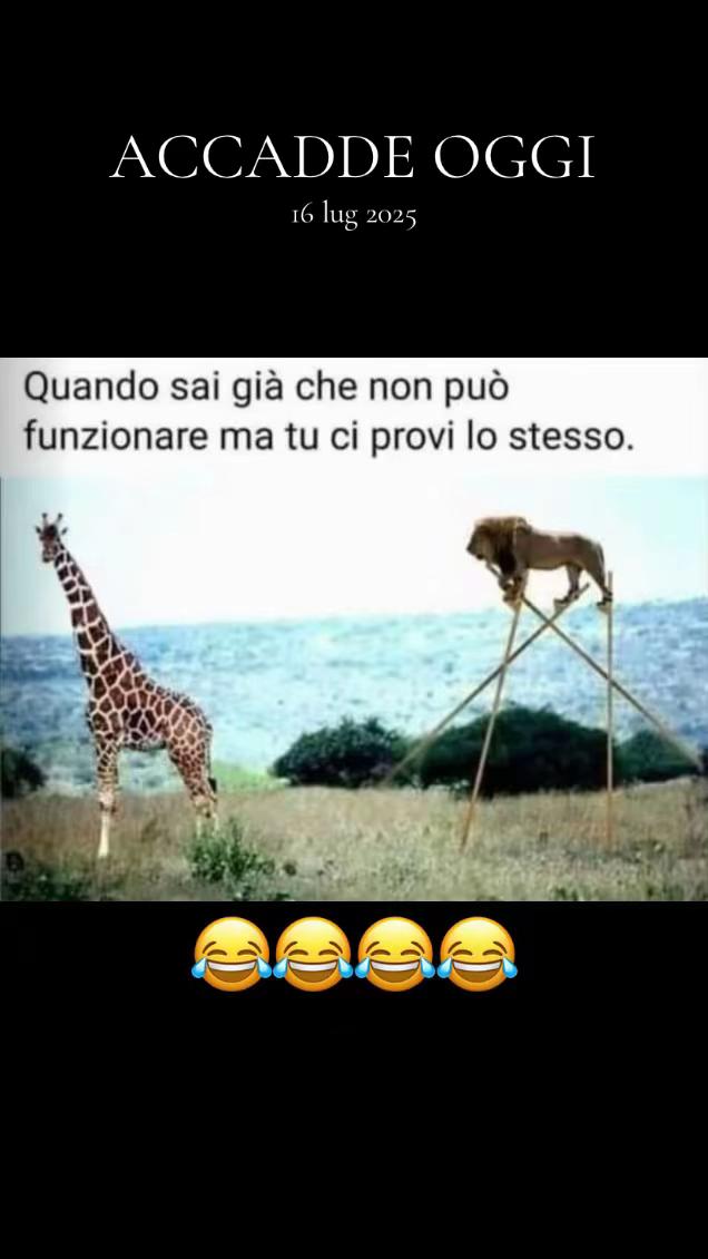 @❤️Gioia 746❤️