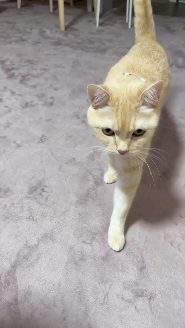 @どこかのだれか