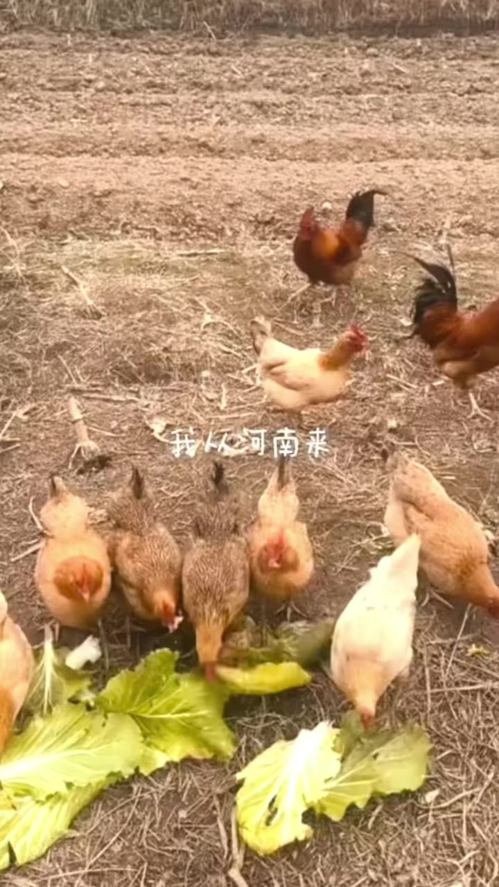 @XingXiaofaShop🪐🇨🇳