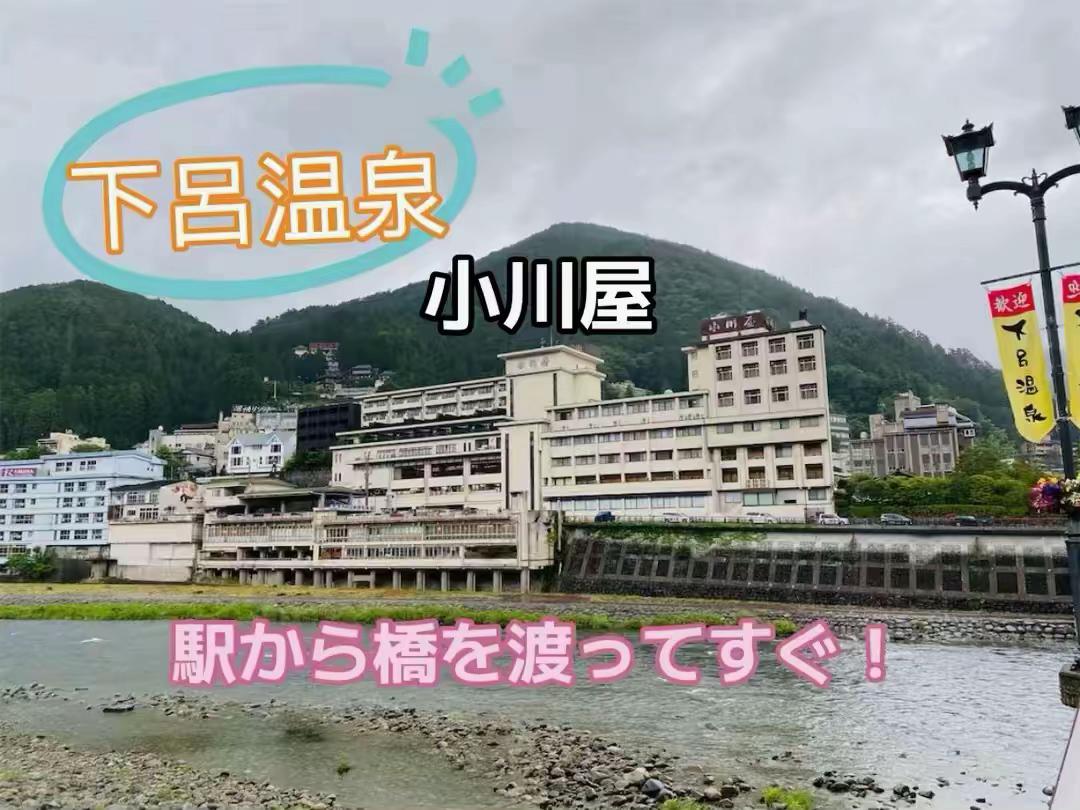 @☘️えりんこ☘️👽