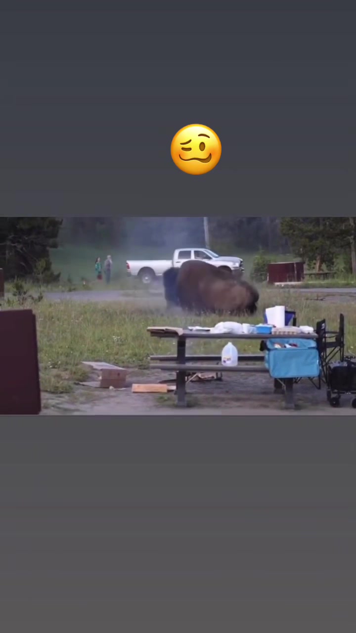 @RudeGal