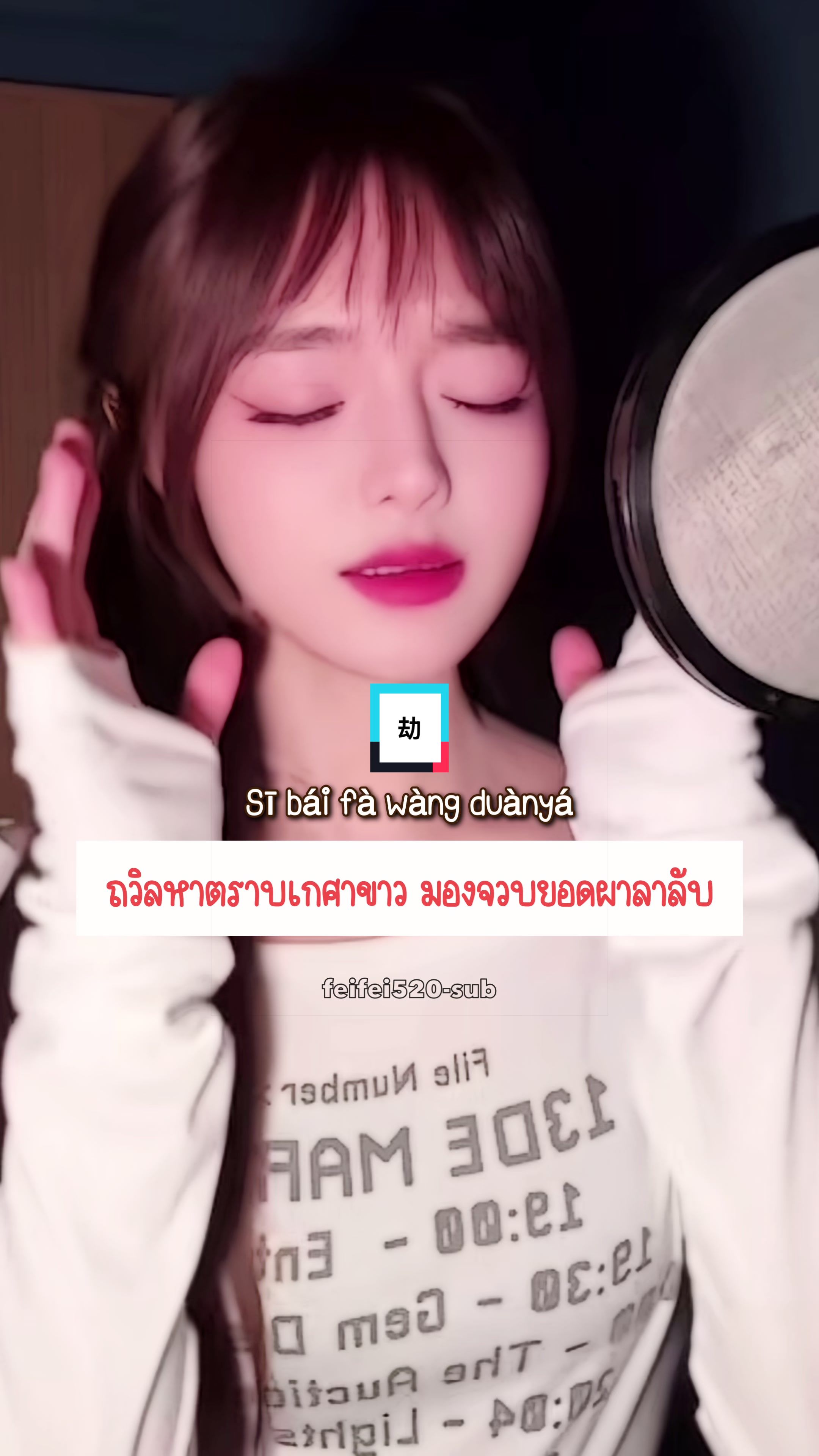 @feifei520