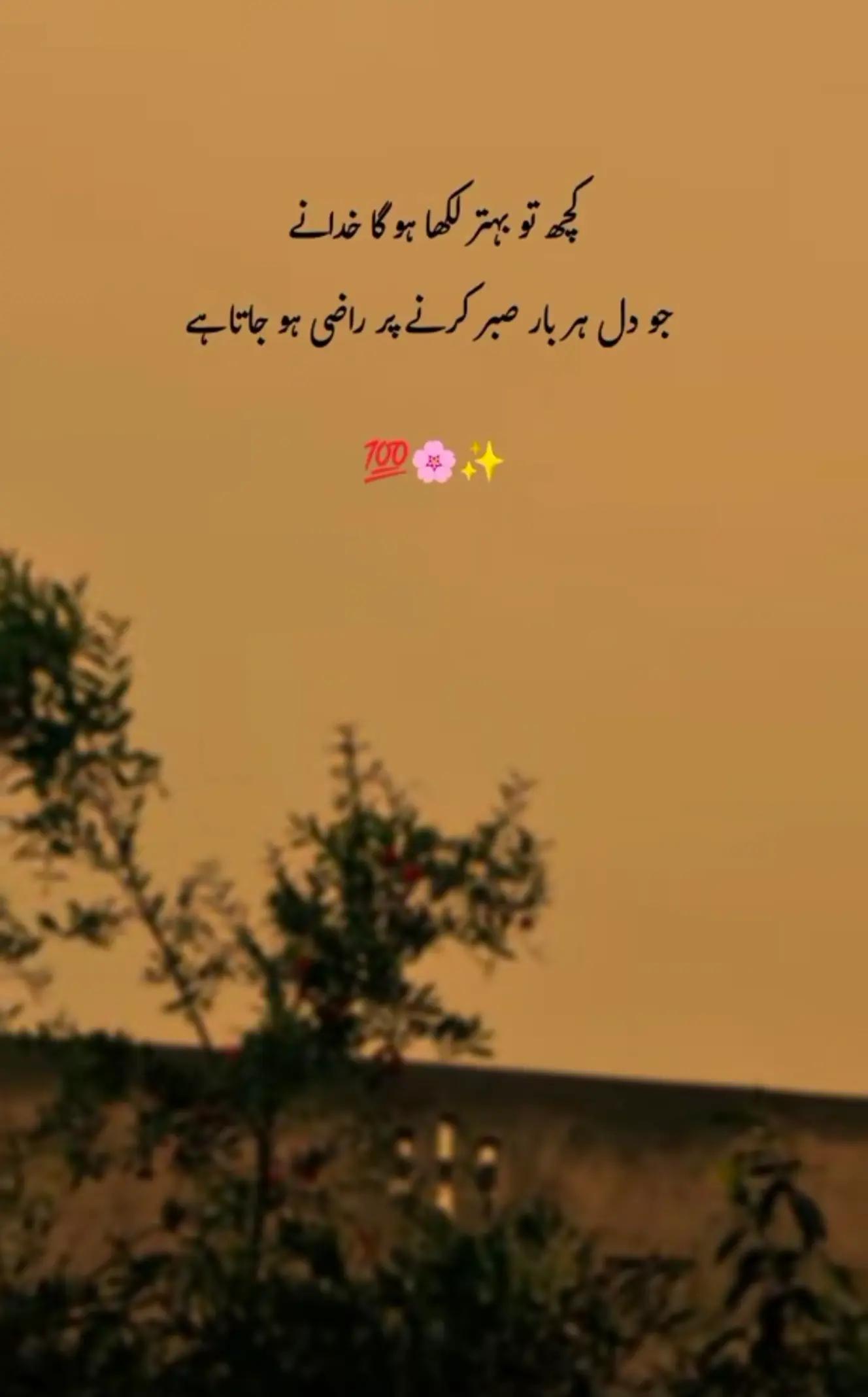@شاہزیب علی 🥰