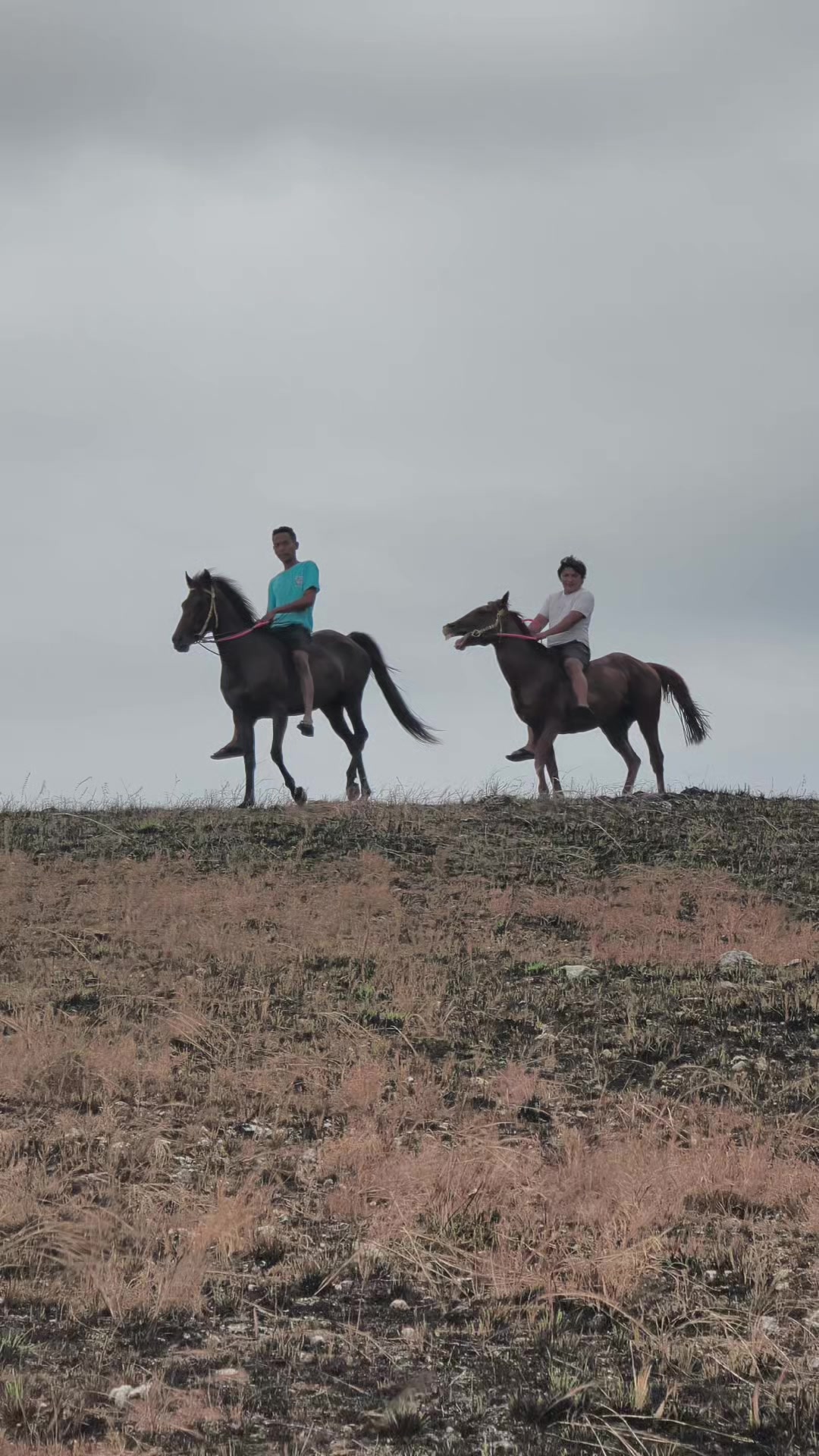 @Wonders Of sumba