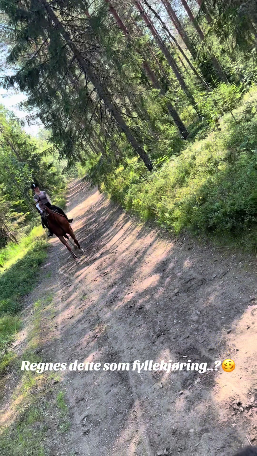 @vendelasophie