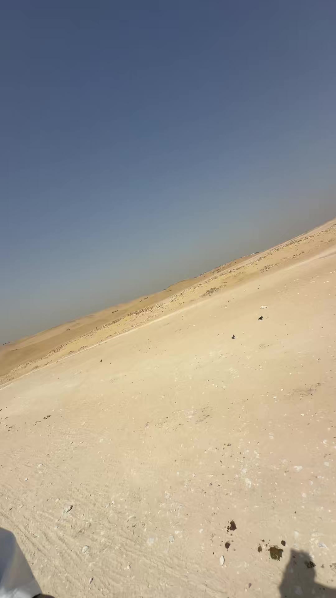 @arian.shabanajj