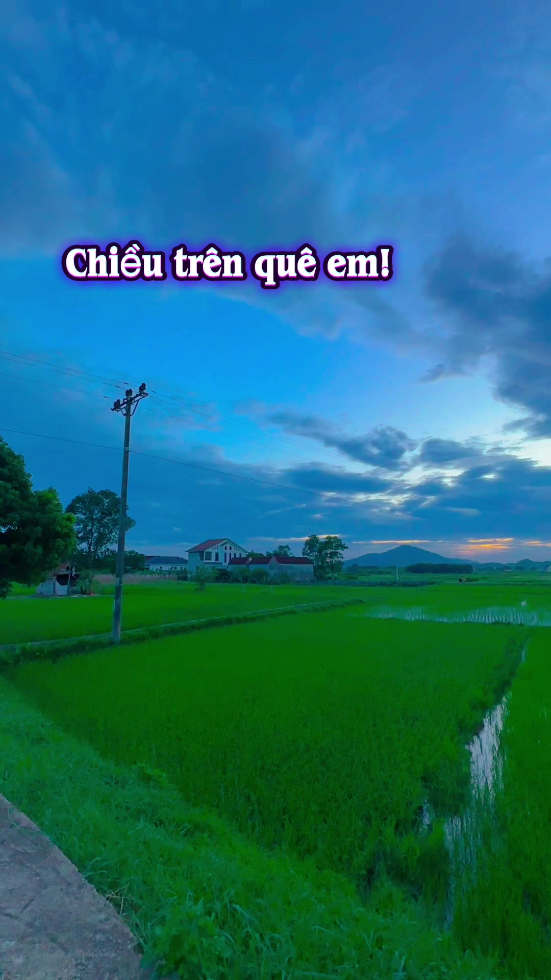 @Hương Ước