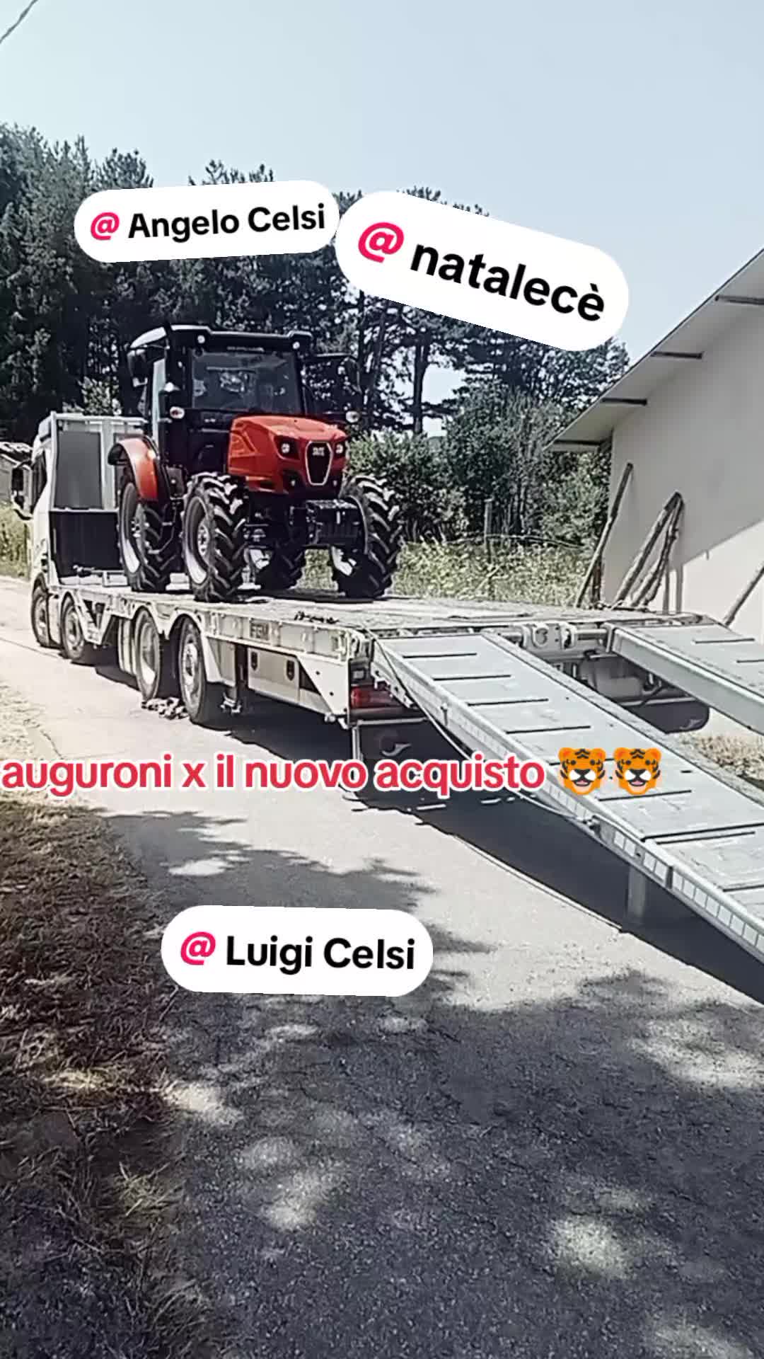 @IL Brigante della sila