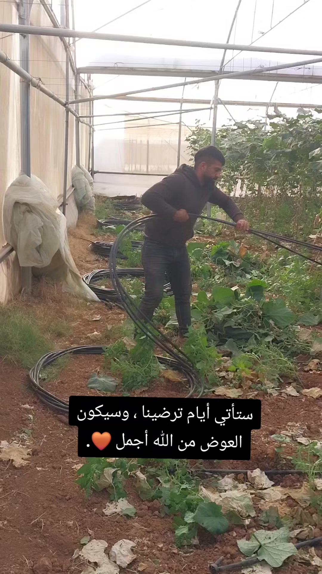 @🎼🚬توماس شلبي📝🚬