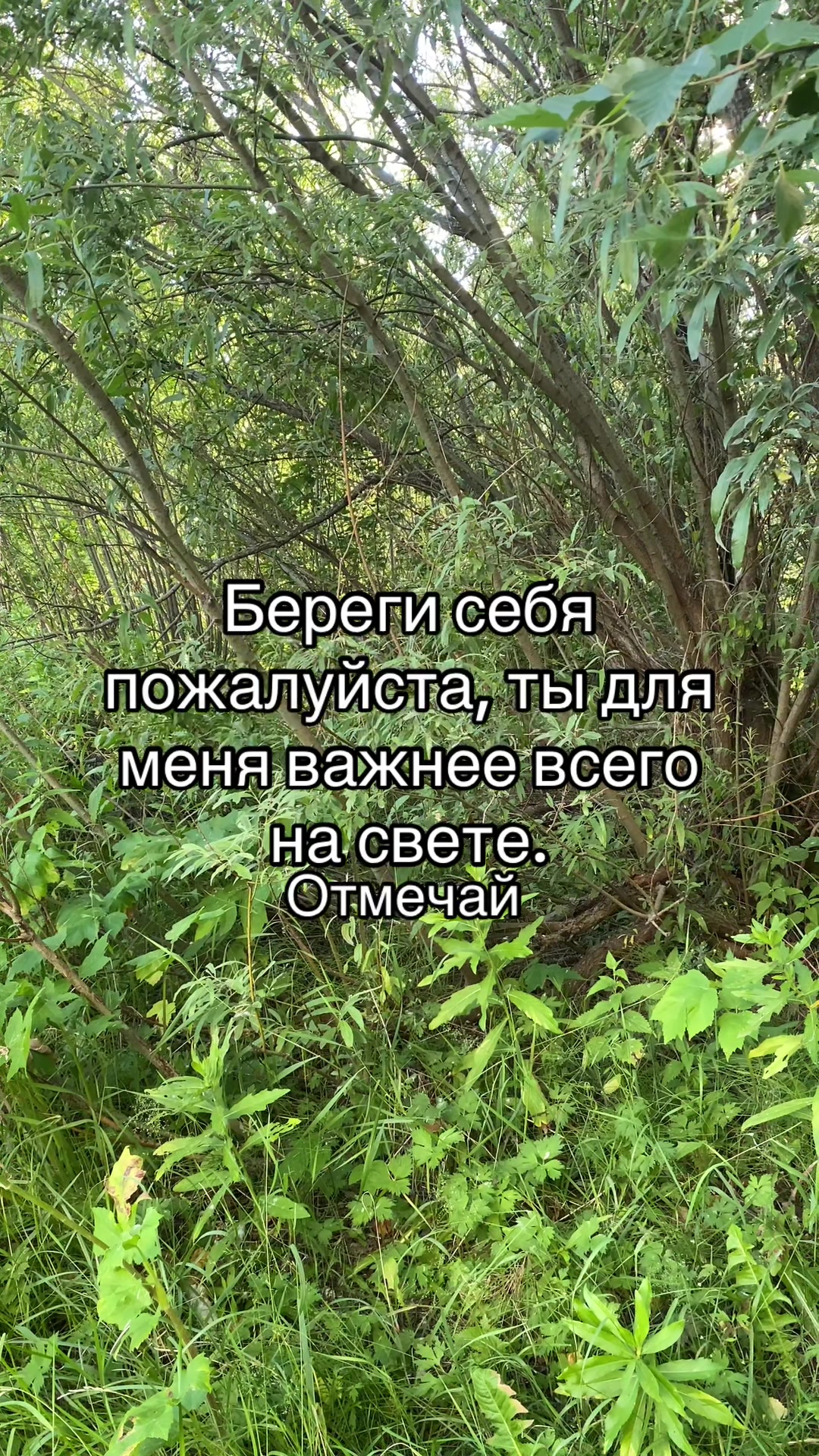 @Данил