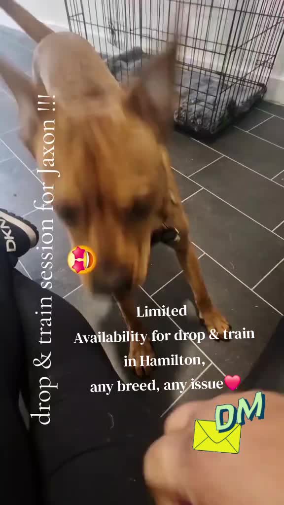 @The Dog Mother Lanarkshire