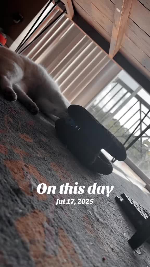@hookedinloop🥓