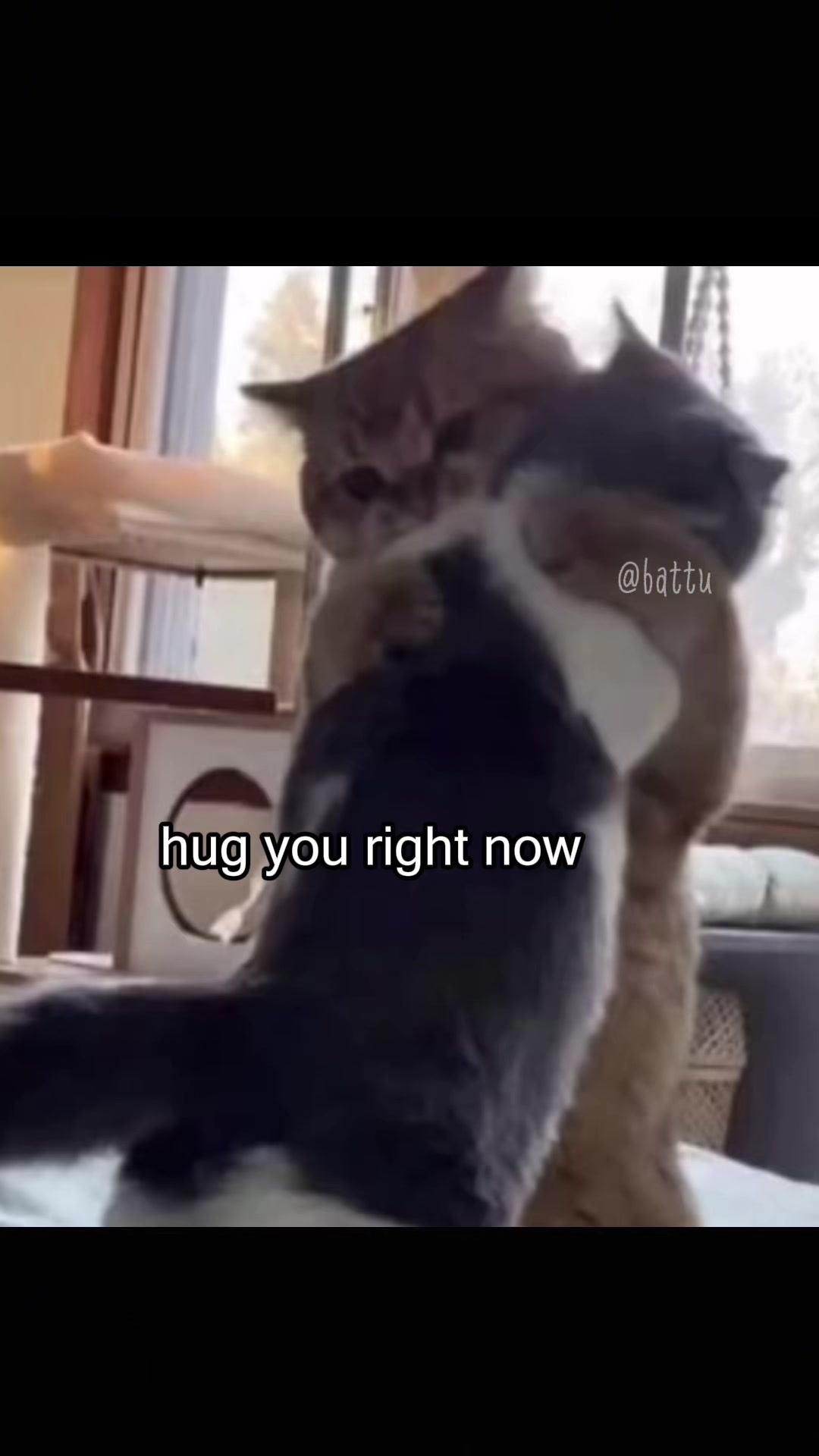 @Battu