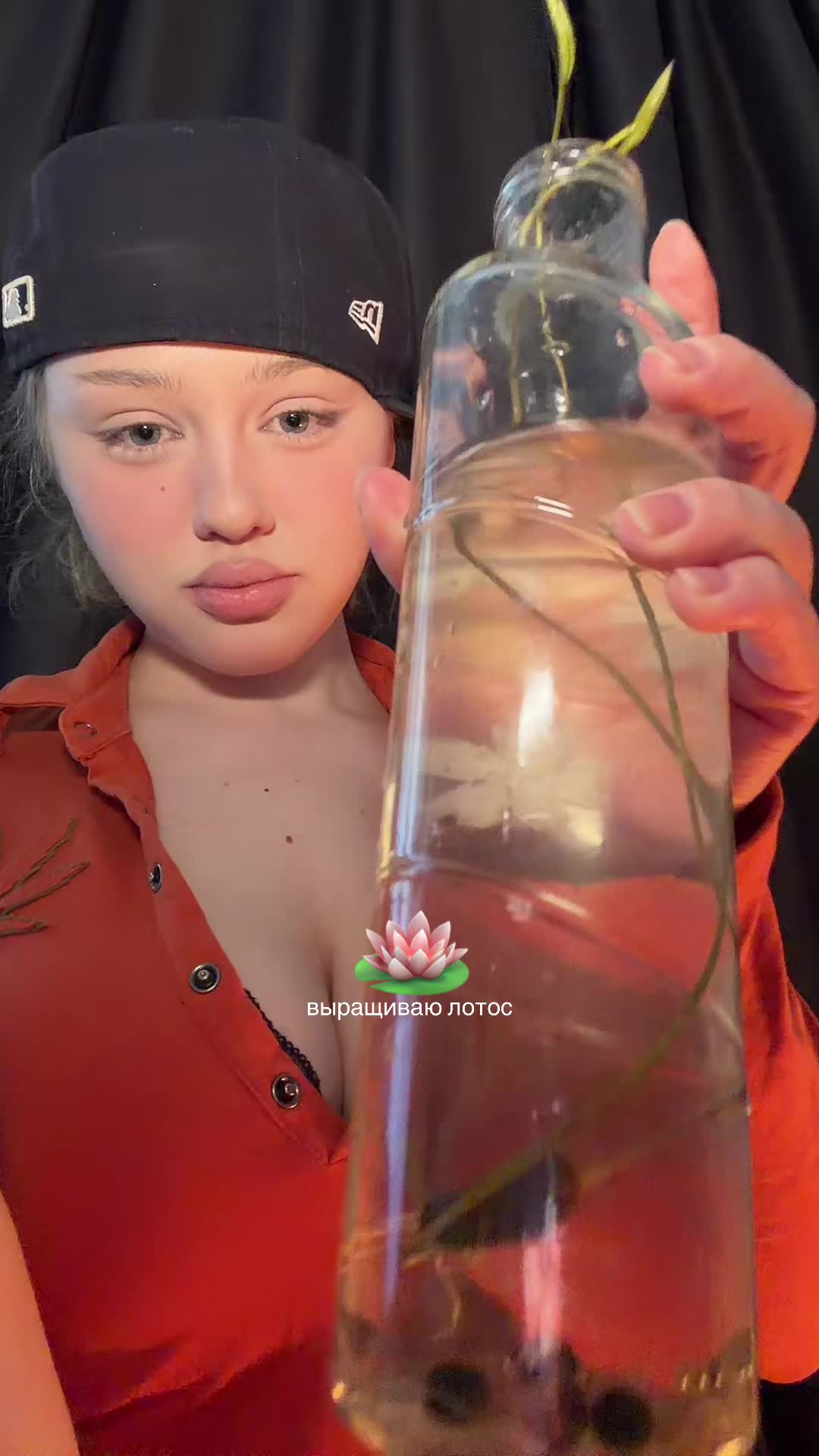 @майлибанди
