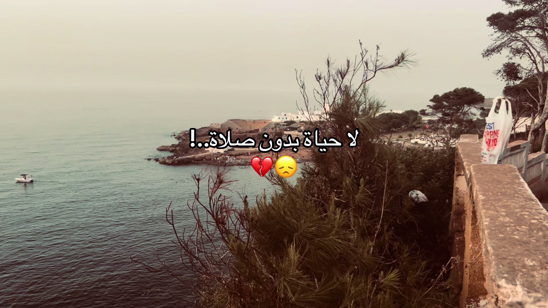 @mohamed_dahmas