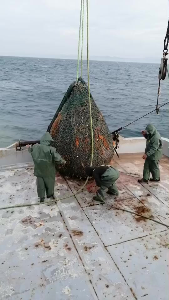 @🛳️h&agrave;m&igrave;d&oslash;⚓⚡R&aelig;ys&euml;🐬🏴&zwj;☠️