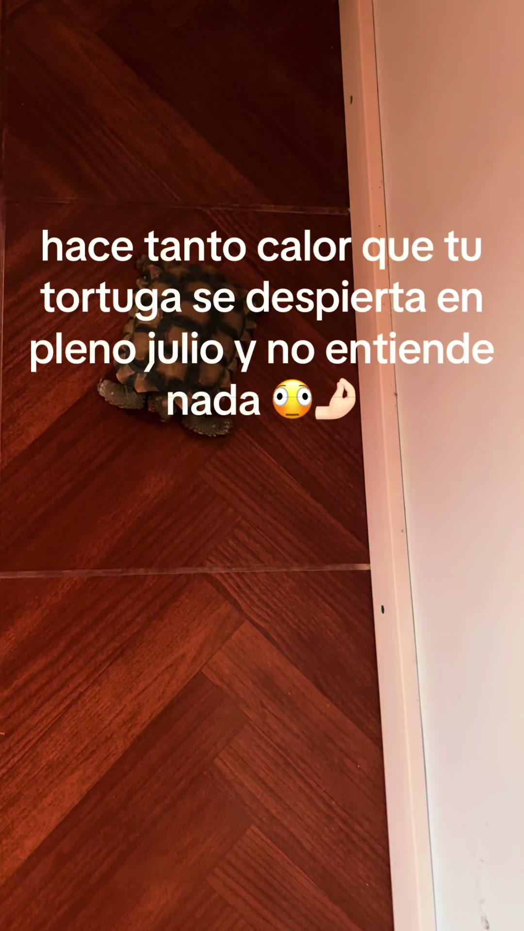 @Sofiiiiiiii