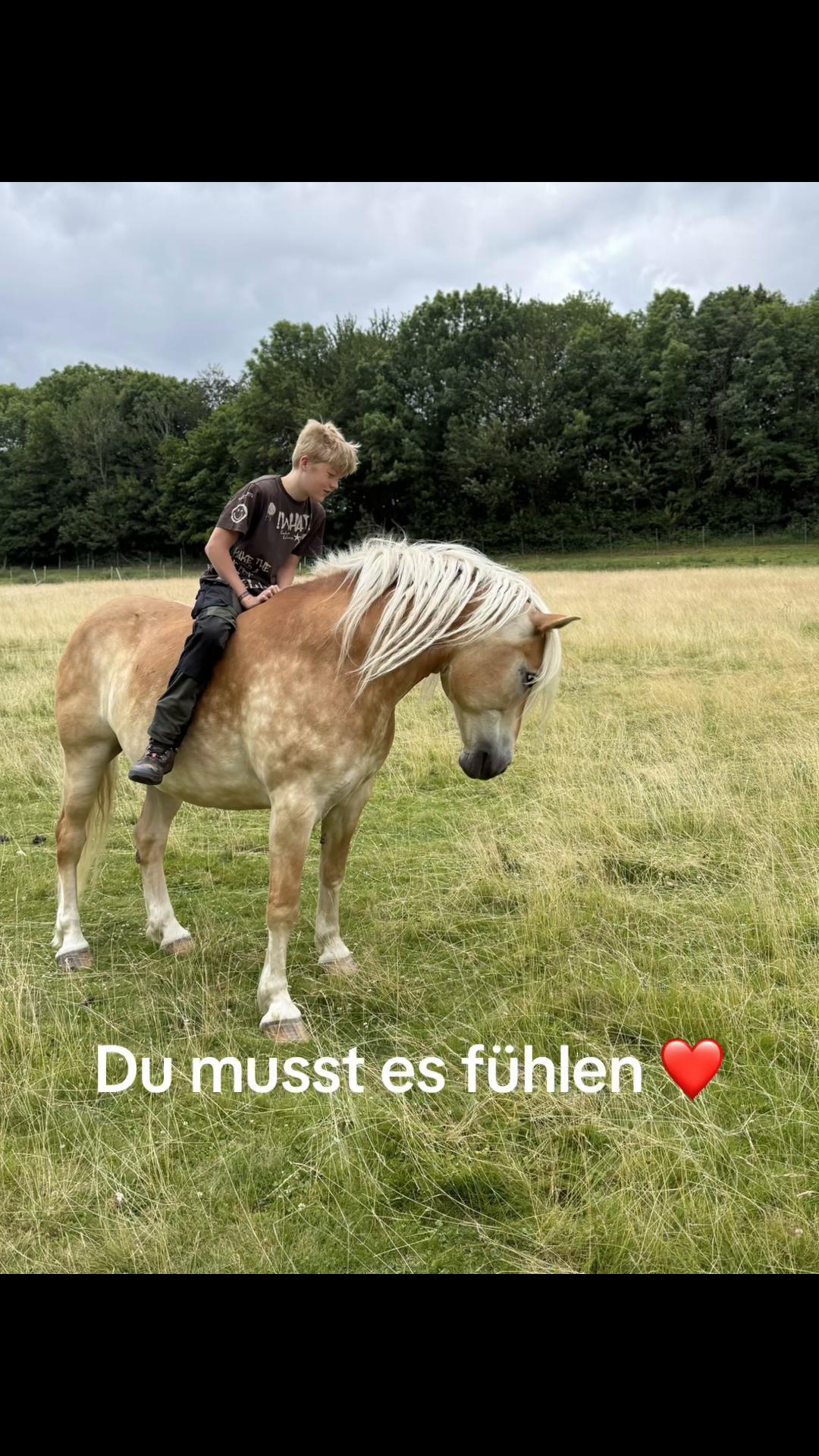 @HafiHorse2