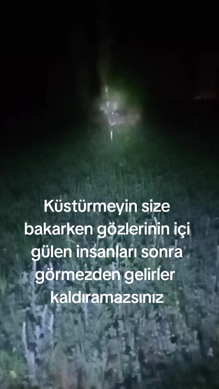 @mahmut AYÇİÇEK
