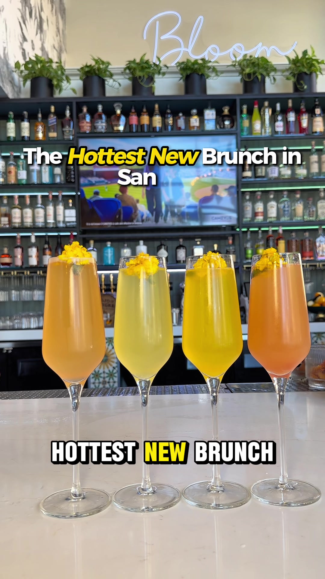 @BoozieBrunch