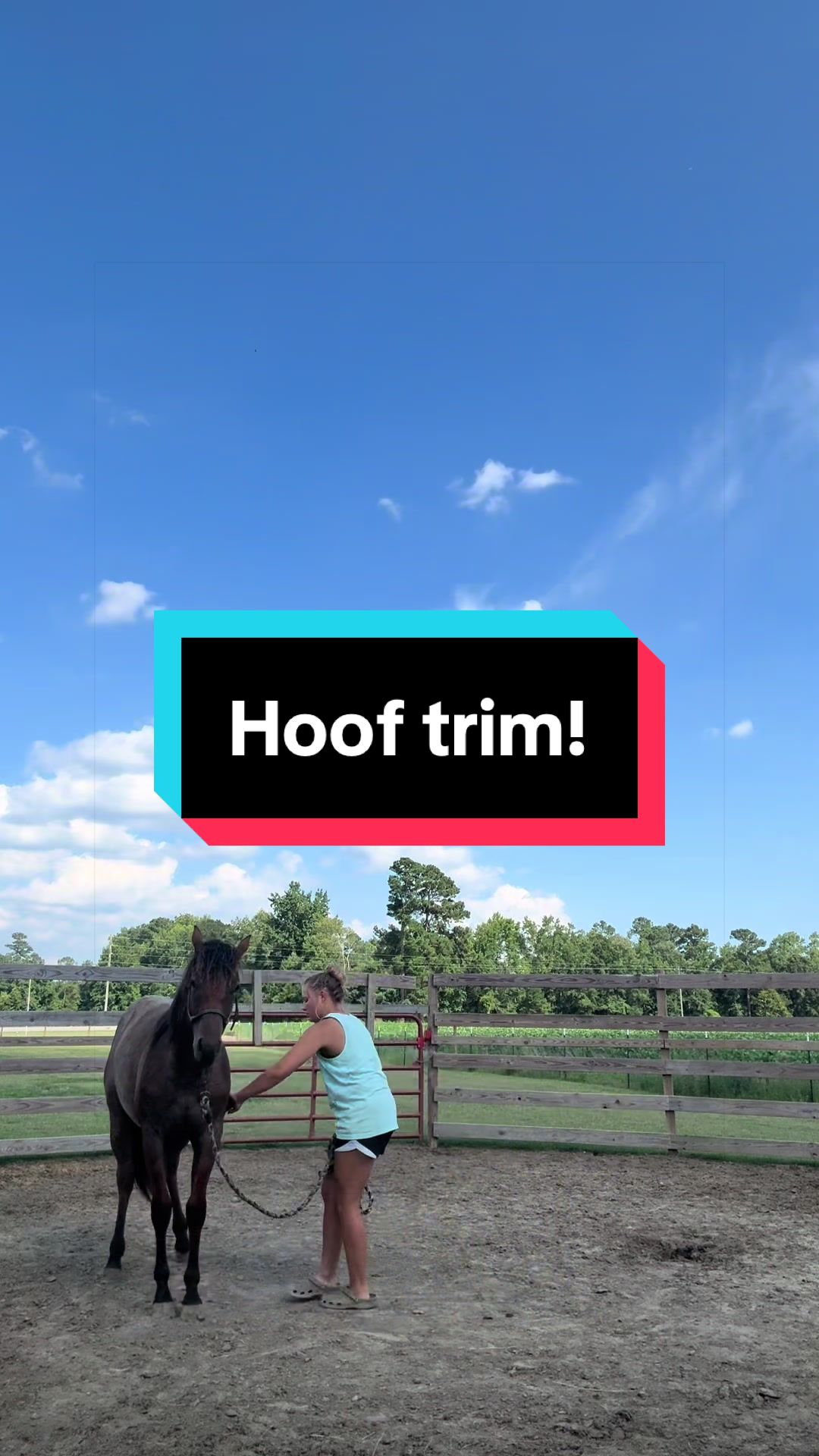 @Peppermint Pines Farm