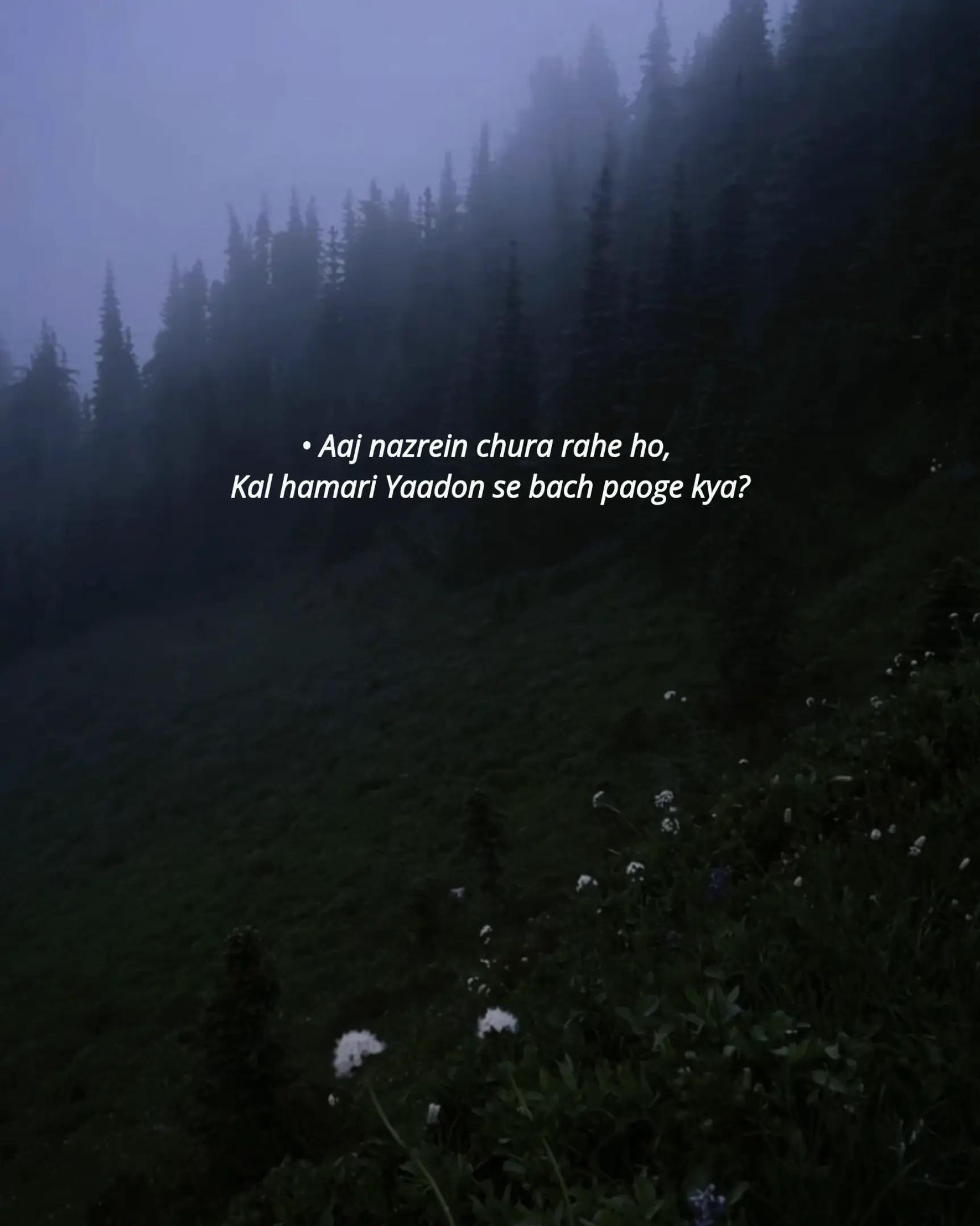 @𝙏𝘼𝘽𝙀𝙀𝙍 🥀